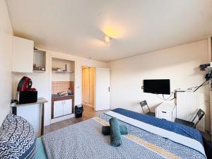 ein Schlafzimmer mit einem Bett und einem Fernseher in der Unterkunft Studio pour 2 près de la gare in Melun