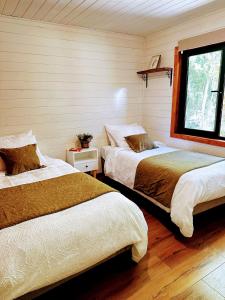 柯纳里佩Cabañas Alto del Bosque的一间卧室，配有两张床和一扇窗户