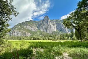 a mountain in the distance with a field and trees at Tiny Blue at Yosemite Gateway in Groveland +10 photos