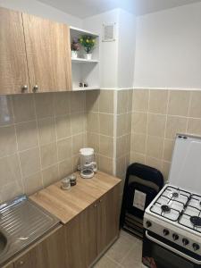 een kleine keuken met een aanrecht en een fornuis bij Studio Relax2 in Bacău