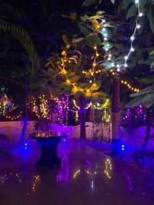 Ảnh trong thư viện ảnh của Seaside Serinityy Luxury ở Mahabalipuram +25 ảnh