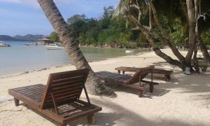 two benches and a palm tree on a beach at Chalets Anse Possession in Baie Sainte Anne