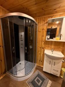 een badkamer met een douche en een wastafel bij У Віти номер 5 in Synevyrsʼka Polyana