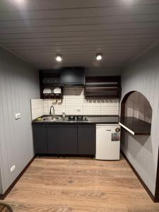een kleine keuken met een spoelbak en een koelkast bij У Віти номер 5 in Synevyrsʼka Polyana