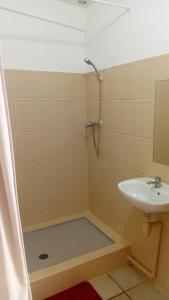 ein Bad mit einem Waschbecken, einer Dusche und einem Waschbecken in der Unterkunft Studio Vue Mer 24h24 7j7 in Petite Île