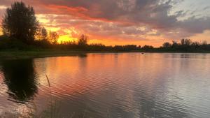 Billede fra billedgalleriet på Similan Mondo Resort & Camping i Phang Nga