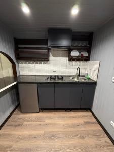 een keuken met een spoelbak en een aanrechtblad bij У Віти номер 4 in Synevyrsʼka Polyana
