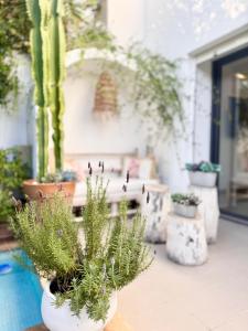 En have udenfor La Villa Atlantis