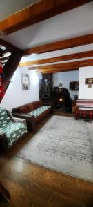 un soggiorno con un divano e un tappeto di Cabana Ollie Retezat a Rîu Bărbat