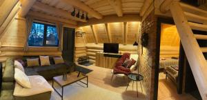 a living room with a couch and a tv at Premiere Chalet in Vărşag