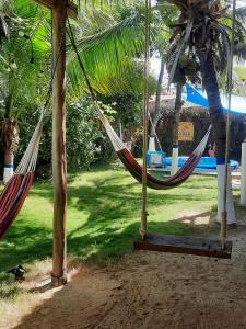 a couple of hammocks hanging from trees in a yard at KAZA Balcones in Santa Veronica