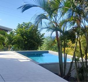 Swimmingpoolen hos eller tæt på Le Carbet des Anges