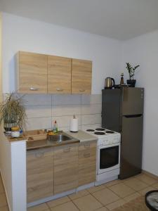 a kitchen with a stove and a sink and a refrigerator at Apartmani Marković in Tivat