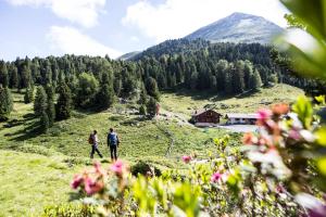 Paesaggio naturale nelle vicinanze dell'appartamento