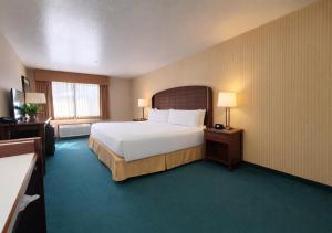 een hotelkamer met een groot bed en een televisie bij Rogue Regency Inn Medford Airport in Medford +24 foto's