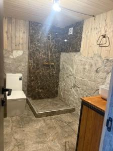 une salle de bain avec une douche avec des toilettes et un lavabo dans l'établissement Dream wood house, à Dilidjan