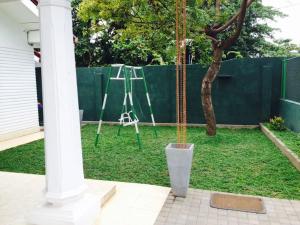 a garden with a tripod and a ladder in a yard at Sleep Cheap Home in Negombo