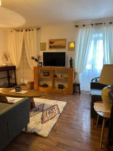 a living room with a tv and a couch at Casa Bella Centre de Corsica in Corte