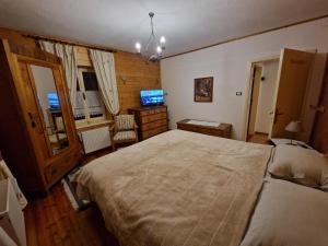ein Schlafzimmer mit einem großen Bett und einem Fernseher in der Unterkunft Appartamento Lorena in Rocca Pietore