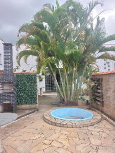 een palmboom en een blauwe vijver voor een huis bij Pousada Chácara Famille Brun in São João da Boa Vista