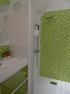 La salle de bains est pourvue d'un rideau de douche vert et d'un lavabo. dans l'établissement Les Viviers Maison d'hôtes B&B, à Puiseaux