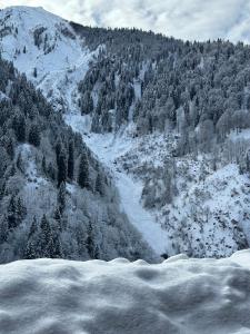 una montagna innevata con alberi in lontananza di Ayder Villa de Pelit Hotel ad Ayder Yaylasi Altre 124 foto