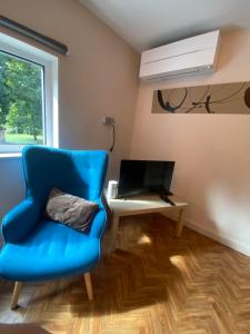 een blauwe stoel in een kamer met een bureau en een laptop bij Studio central airco et local vélo in Huy