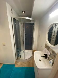 een badkamer met een douche en een wastafel bij Studio central airco et local vélo in Huy