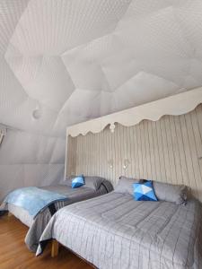 Puerto BertrandDomos Centro Las Lengas Gd的卧室设有2张床和天花板