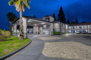 een gebouw met een palmboom ervoor bij SureStay Hotel by Best Western Ukiah in Ukiah