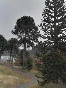 Příroda nedaleko chaty