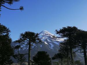 Příroda nedaleko chaty