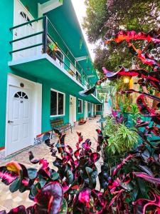een gebouw met een bos planten ervoor bij Hotel Vias Maya Bacalar in Bacalar