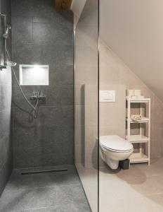 a bathroom with a toilet and a glass shower at Podlipnik Apartments in Kranjska Gora +99 photos