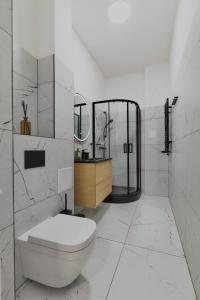 een badkamer met een toilet, een wastafel en een spiegel bij MonjAna Premium Rynek in Wrocław +54 foto's