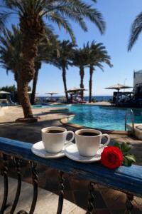 Kaffe- og tefaciliteter på New Sphinx Dahab