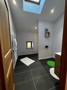 ein Dachgeschossbad mit Oberlicht und ein Badezimmer mit Dusche in der Unterkunft Gîtes de la Bernière in Brûlain