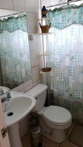 een badkamer met een toilet, een wastafel en een douche bij Los Castaños Pucón in El Cerrillo
