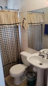 een badkamer met toilet en wastafel bij Los Castaños Pucón in El Cerrillo +3 foto's