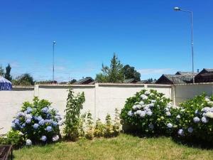 Billede fra billedgalleriet på Los Castaños Pucón i El Cerrillo + 3 billeder