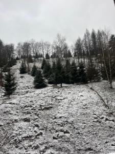 Agroturystyka u Zosi v zimě