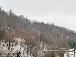 Agroturystyka u Zosi v zimě + 2 fotografie