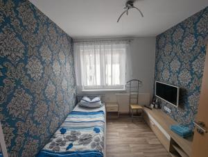 una piccola camera da letto con un letto e una TV di Pension zum Ringelberg a Erfurt