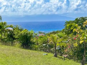 Naturlandskabet i nærheden af lejligheden