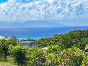 Naturlandskabet i nærheden af lejligheden