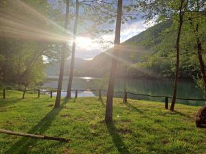Afbeelding uit fotogalerij van Alaske kolibe in Bajina Bašta