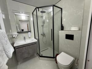 a bathroom with a shower and a toilet and a sink at Hotel Kalyan & Spa in Chişinău