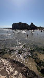 een groep mensen die op het strand in het water zwemmen bij Apartamento inteiro 45m, centro, com garagem in Torres
