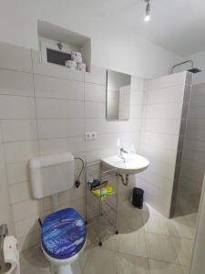 een badkamer met toilet en wastafel bij Olcsica Apartment in Klenovica