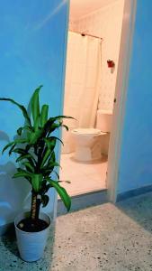 Et badeværelse på Hostal Abba